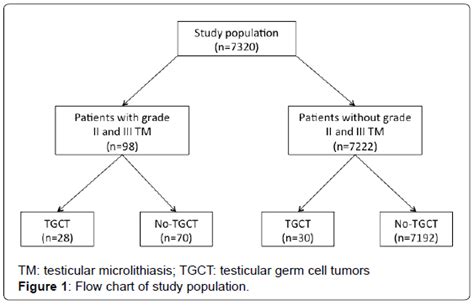 Testicular Microlithiasis And Testicular Germ Cell Tumors A Seve