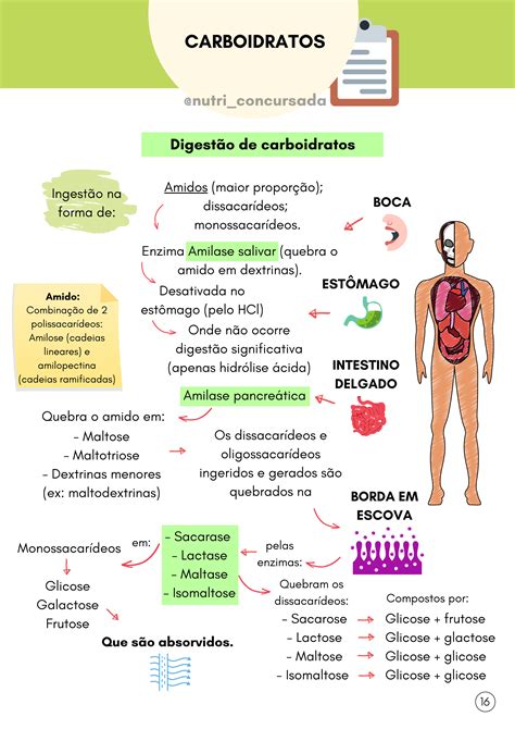 Pacote De Resumos Princ Pios Nutricionais