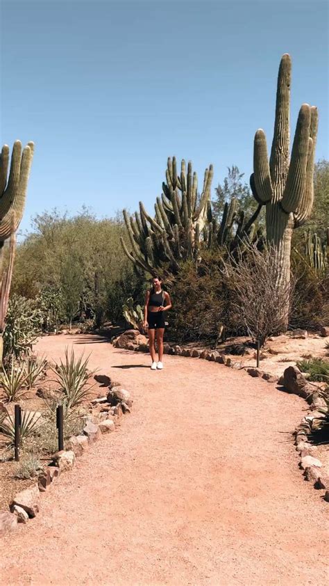 📍Desert Botanical Garden | Places to visit in Arizona | Garden ...