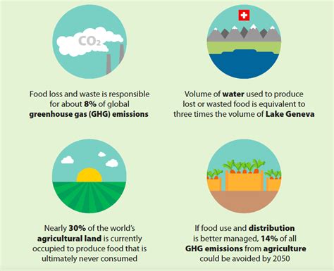 Environmental Impact of Food Waste | Mind Over Munch