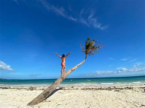 Premium Photo Rear View Of Woman Wearing Bikini Standing On Tree