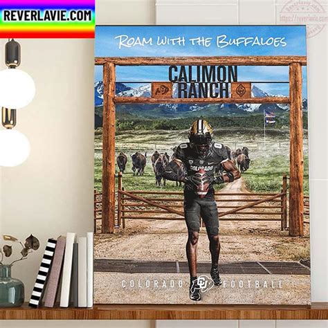 Roam With The Buffaloes Calimon Ranch Colorado Buffaloes Football Home