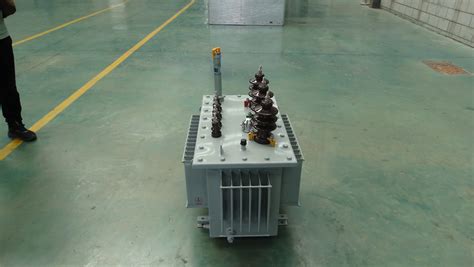 Three Phase S11 30kVA 20000kVA 6kv 35kv Oil Immersed Fluid Filled