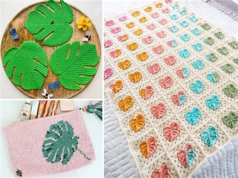 Crochet Monstera Plant Pattern Ideas