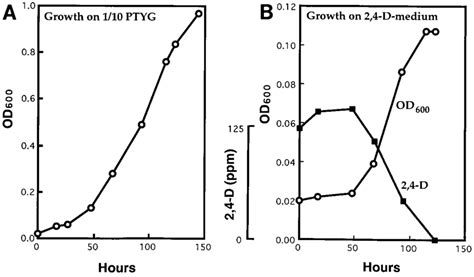 Typical Growth Curves Of And D Mineralization By Strain Hw A