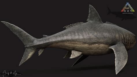 Megalodon On Pantone Canvas Gallery