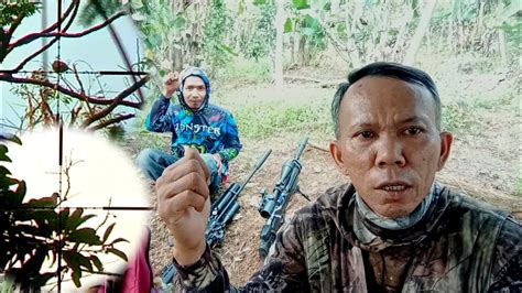 Berburu Burung Tekukur Dan Tupai Di Sini Cukup Pinggir Rumah