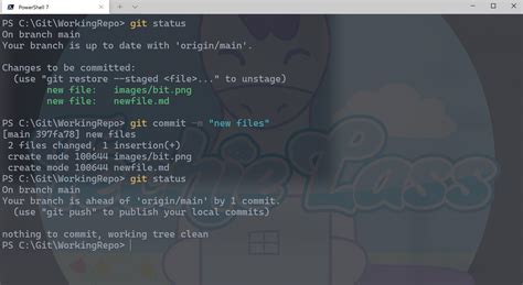 Use The Git Status Command