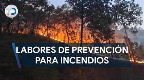 El 95 De Los Incendios Forestales En Nl Son Causados Por El Hombre