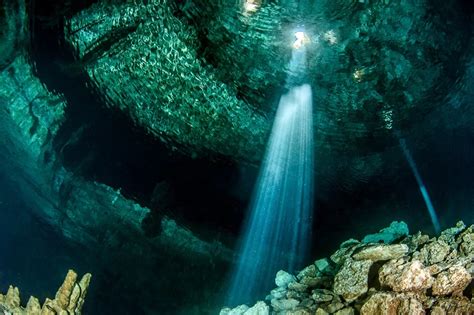 Best Cenotes Near Playa Del Carmen The Whole World Is A