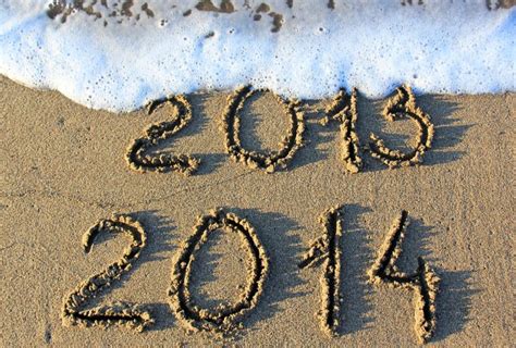 reflections   womenonthefence year