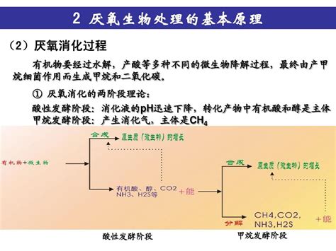 污水的厌氧生物处理word文档在线阅读与下载无忧文档