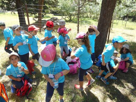 Bloggeando En Infantil Ceip Pedro Duque Excursi N De Fin De Ciclo De