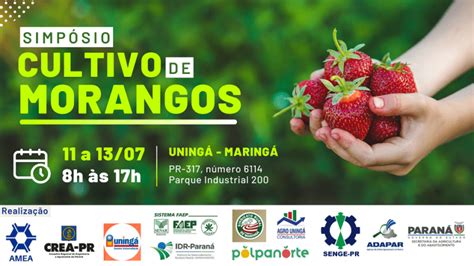 Maringá vai receber Simpósio de Cultivo de Morangos em Julho Canal do