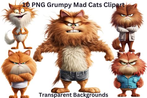 10 PNG Grumpy Mad Cats Clipart Graphic by Imagination Station ...