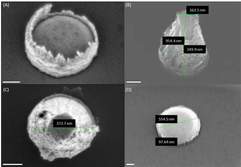 Using Vertically Aligned Carbon Nanofiber Arrays on Rigid or Flexible ... 