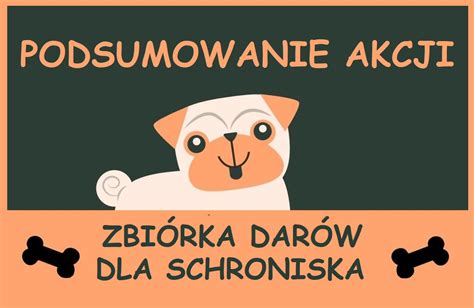 Zbiórka darów dla schroniska podsumowanie akcji Przedszkole