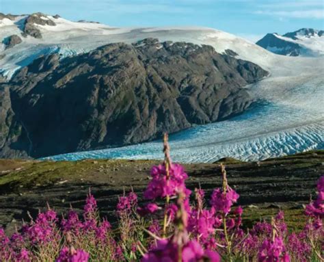 27- Day Glaciers & Volcanos: Alaska To Hawaii - Maritime Travel