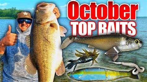 Youd Be A FOOL To Fish WITHOUT These Baits In October Top 5 October