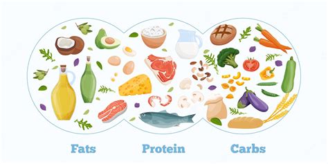 Conjunto De Macronutrientes Saudáveis Proteínas Gorduras E Carboidratos Apresentados Por