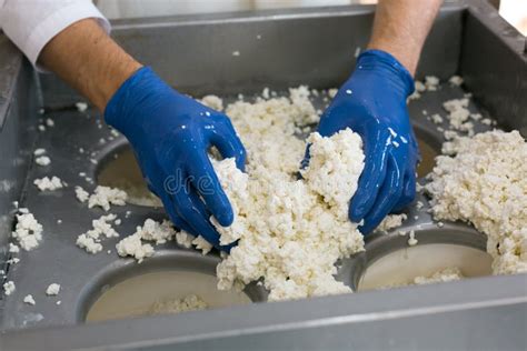 Fabbricazione Del Formaggio Tradizionale In Una Piccola Produzione Mak