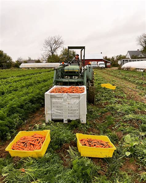 Mile Creek Farm Csa Farms