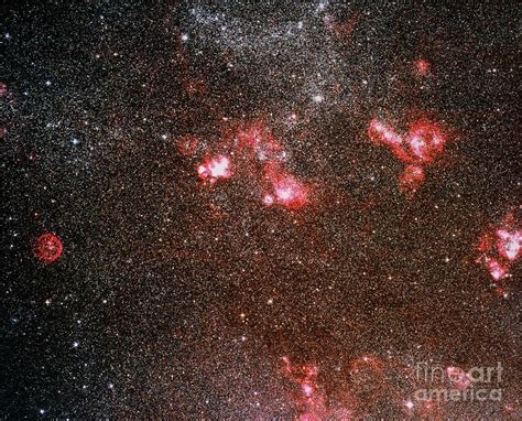 Optical Image Of Nebulae In Large Magellanic Cloud Photograph by Royal ...