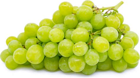 Organic Green Seedless Grapes – Greenlawn Farms