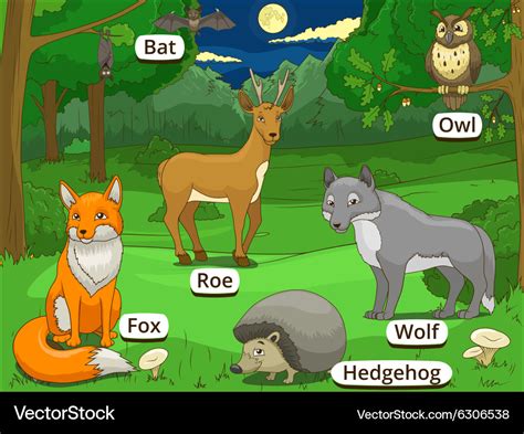 Forest with cartoon animals names Royalty Free Vector Image