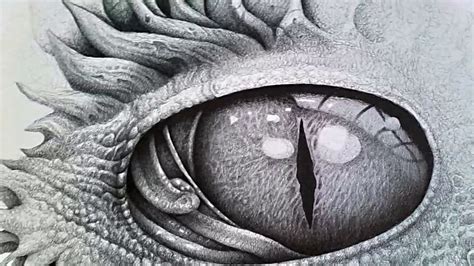 Dragon Eyes Drawing Pencil Sketch Colorful Realistic Art Images