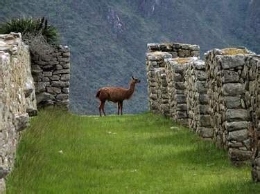 Weather In Peru In February Weather Travel Tips Rough Guides