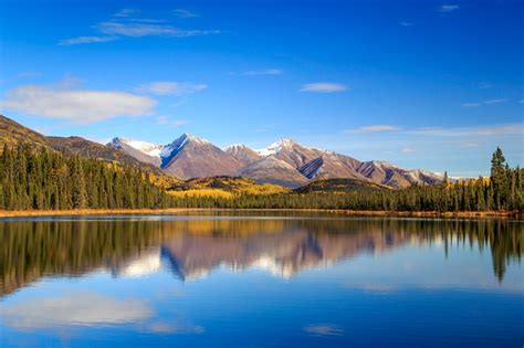 In Alaska Una Scoperta Veneziana Che Potrebbe Far Riscrivere La Storia