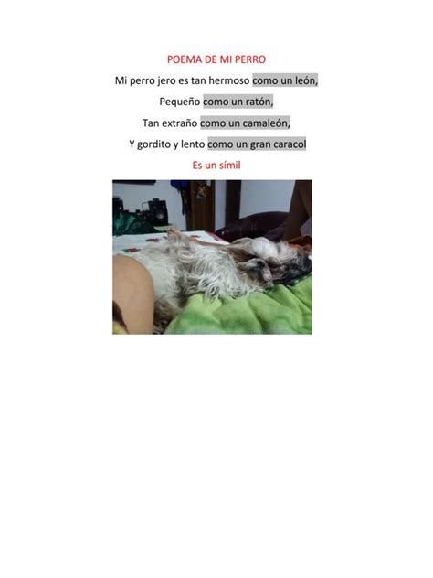 Poema De Mi Perro Pdf