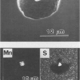 Pit Initiation On Biomedical AlloysA Review