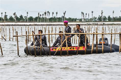 Komandan TNI AL Ungkap Pembongkaran Pagar Laut Di Tangerang Atas