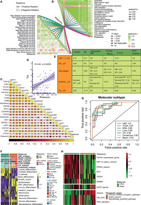 Frontiers A Robust Hypoxia Risk Score Predicts The Clinical Outcomes