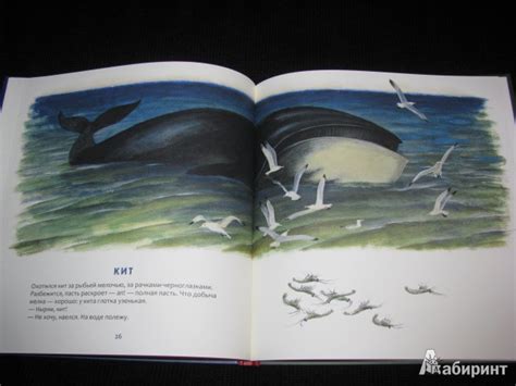 Книга: Кто в море живет - Святослав Сахарнов. Купить книгу, читать ...
