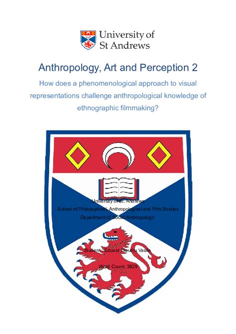 Doc Anthropology Art And Perception How Does A Phenomenological Approach To Visual