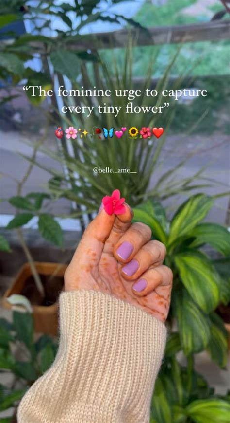 Pin By Shweta Saraf On Snapchats Nature Photography Quotes Flower Captions For Instagram