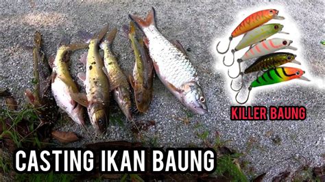 SIAPA KATA TAK BOLEH CASTING IKAN BAUNG DAPAT BONUS IKAN SEBARAU