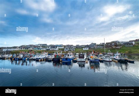 Early Morning View Of Small Fishing Harbour At Hamnavoe Shetland