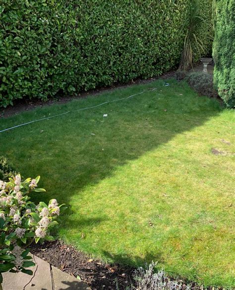 Bespoke Garden Lawn In York Trulawn Artificial Grass