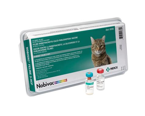 Feline Calicivirus | Merck Animal Health USA