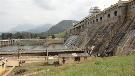 Indira Gandhi National Park Anamalai Rf Tn