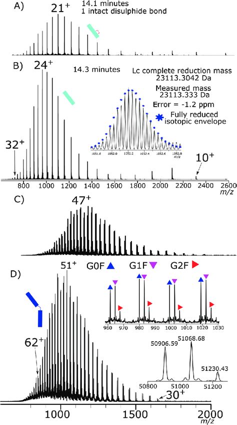 (A) Mass spectrum of partially reduced Lc from Fig. 2F compared to (B)... | Download Scientific ...