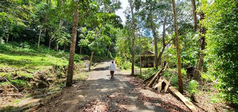 Undang Undang Anti Deforestasi Eu Segera Disahkan Indonesia Harus Ikut