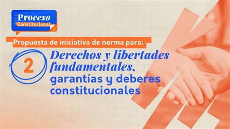 Iniciativa de norma Derechos fundamentales libertades garantías y