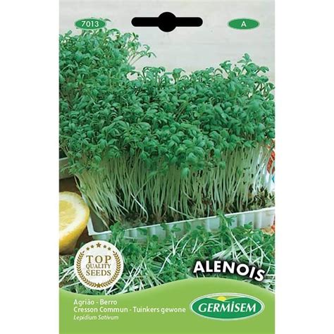 Weye Germisem Graines Cresson Commun Alenois Cdiscount Jardin