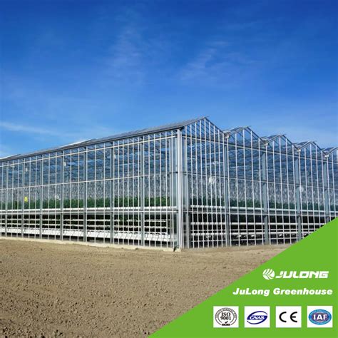 Agriculture Multi Span Venlo Polycarbonate Greenhouse Hydroponics