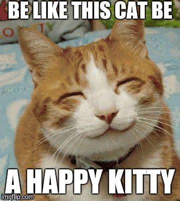 Happy Kitten Meme